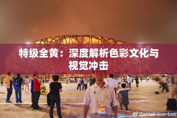 特级全黄：深度解析色彩文化与视觉冲击