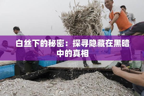 白丝下的秘密：探寻隐藏在黑暗中的真相
