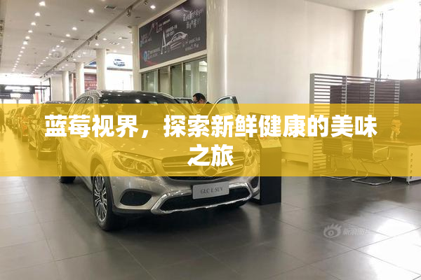 蓝莓视界，探索新鲜健康的美味之旅