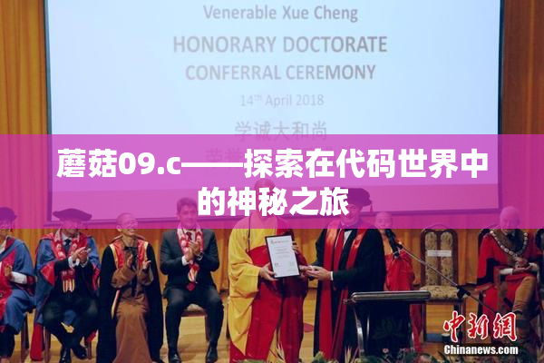蘑菇09.c——探索在代码世界中的神秘之旅