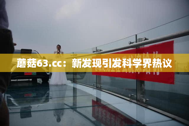 蘑菇63.㏄：新发现引发科学界热议