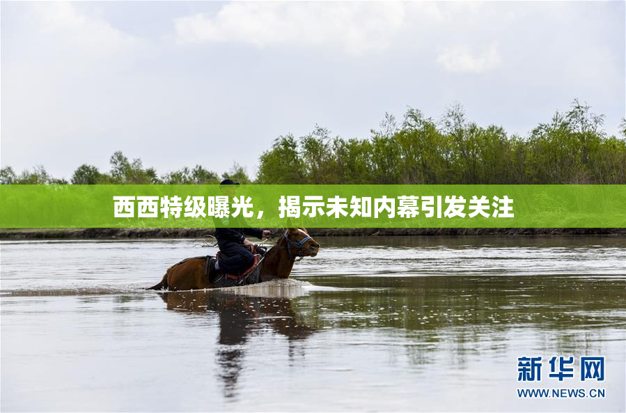 西西特级曝光，揭示未知内幕引发关注