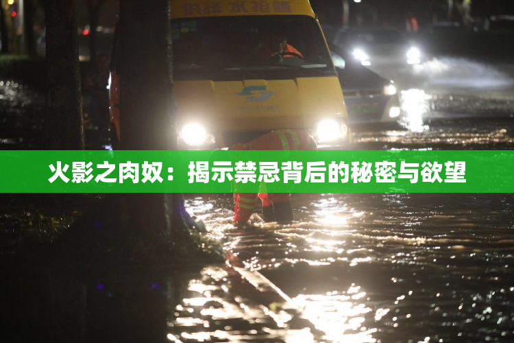 火影之肉奴：揭示禁忌背后的秘密与欲望
