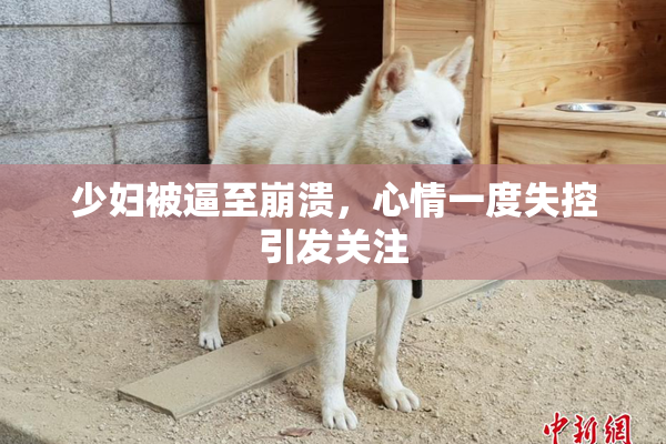 少妇被逼至崩溃，心情一度失控引发关注