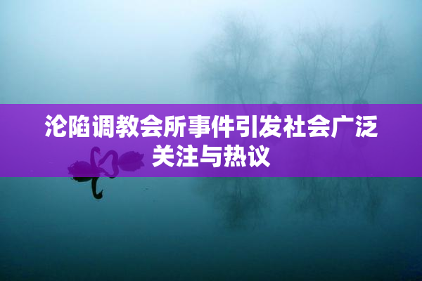 沦陷调教会所事件引发社会广泛关注与热议