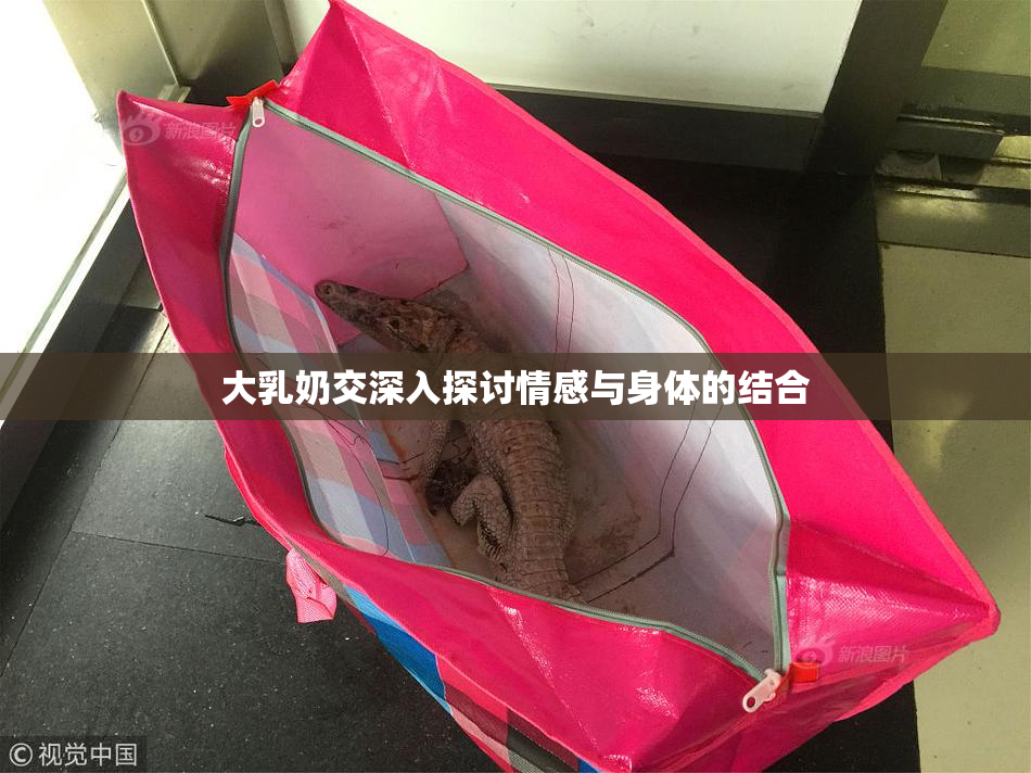 大乳奶交深入探讨情感与身体的结合