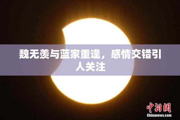 魏无羡与蓝家重逢，感情交错引人关注