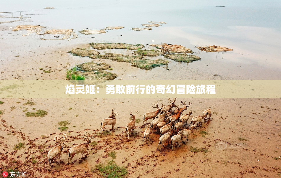 焰灵姬：勇敢前行的奇幻冒险旅程