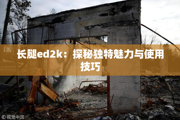 长腿ed2k：探秘独特魅力与使用技巧