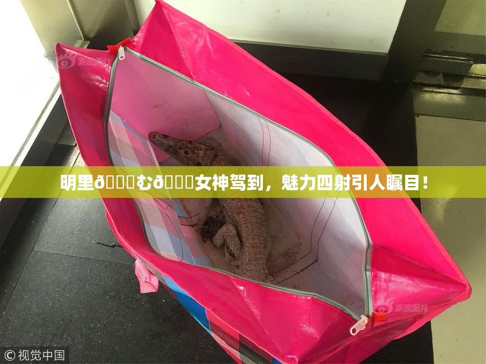明里😚む🍍女神驾到，魅力四射引人瞩目！
