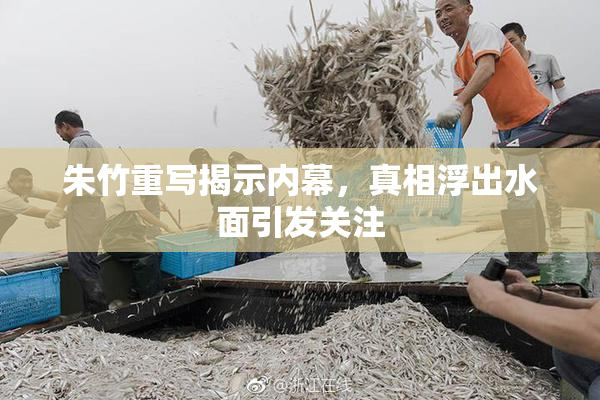朱竹重写揭示内幕，真相浮出水面引发关注
