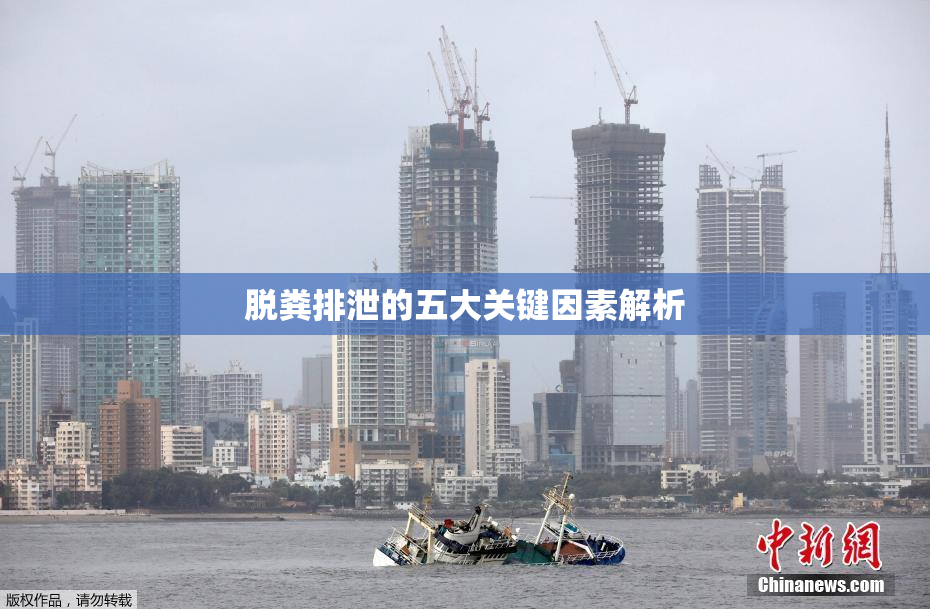 脱粪排泄的五大关键因素解析