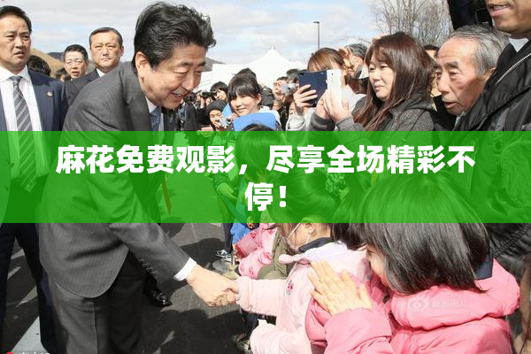 麻花免费观影，尽享全场精彩不停！