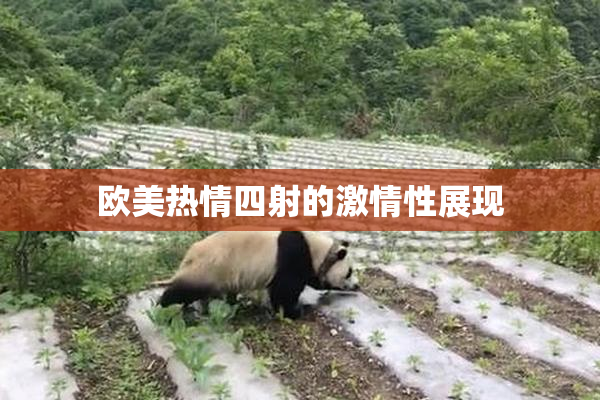 欧美热情四射的激情性展现