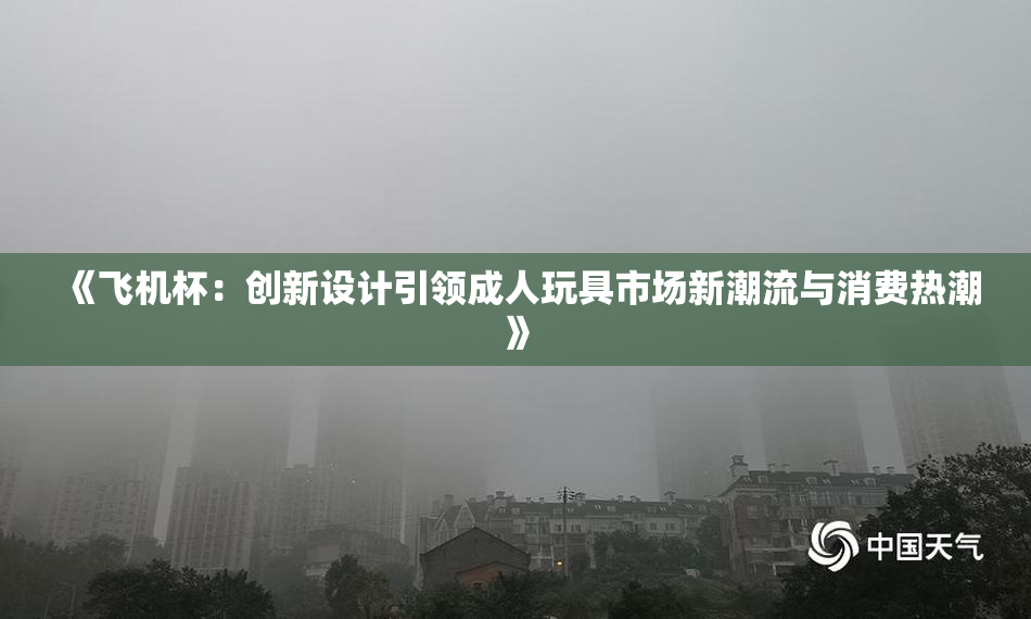 《飞机杯：创新设计引领成人玩具市场新潮流与消费热潮》