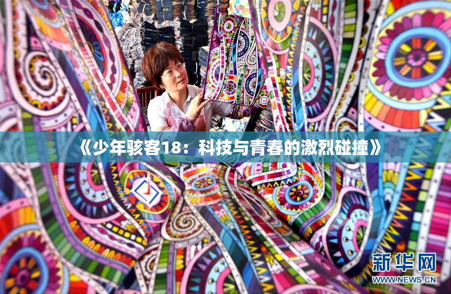 《少年骇客18：科技与青春的激烈碰撞》