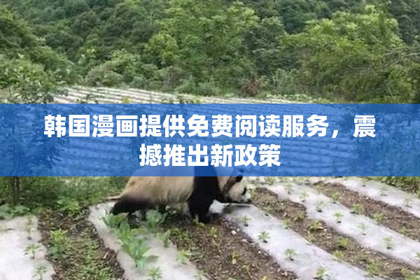 韩国漫画提供免费阅读服务，震撼推出新政策