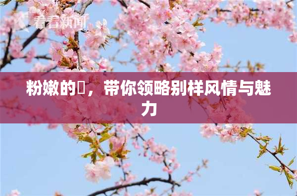 粉嫩的泬，带你领略别样风情与魅力