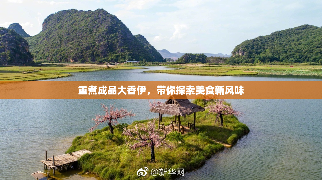重煮成品大香伊，带你探索美食新风味