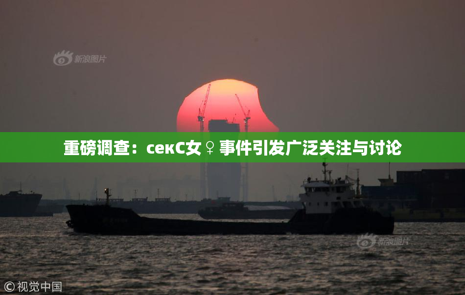 重磅调查：секС女♀事件引发广泛关注与讨论