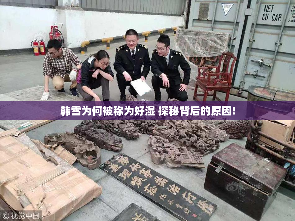 韩雪为何被称为好湿 探秘背后的原因!