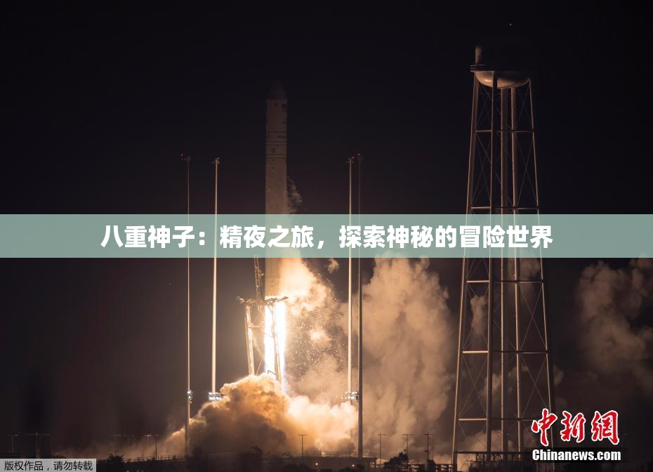 八重神子：精夜之旅，探索神秘的冒险世界