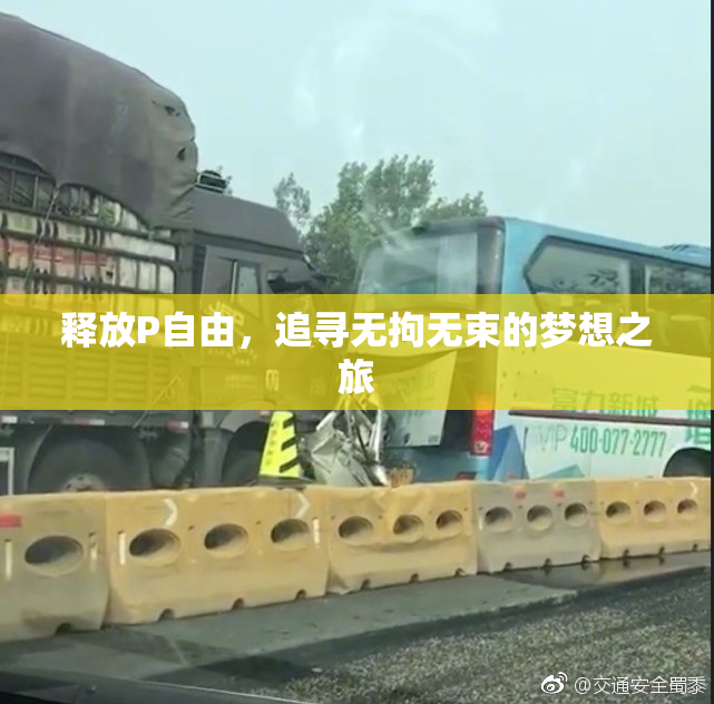 释放P自由，追寻无拘无束的梦想之旅