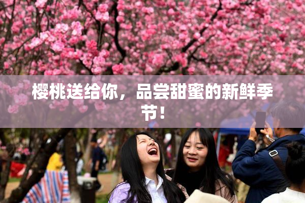 樱桃送给你，品尝甜蜜的新鲜季节！