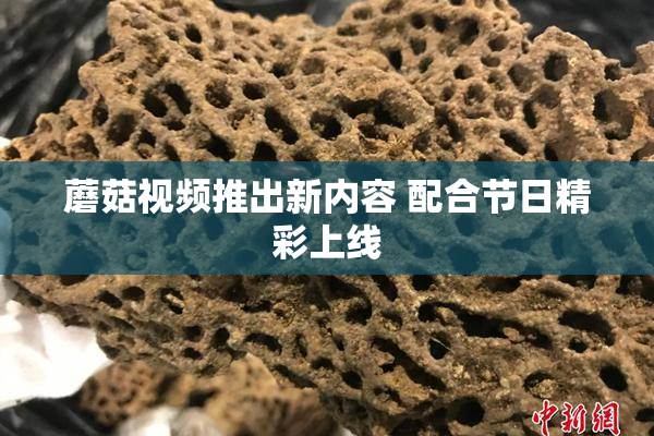 蘑菇视频推出新内容 配合节日精彩上线