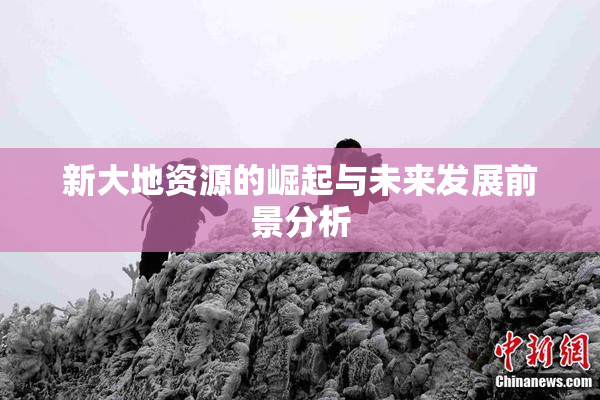 新大地资源的崛起与未来发展前景分析