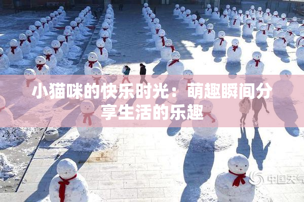 小猫咪的快乐时光：萌趣瞬间分享生活的乐趣