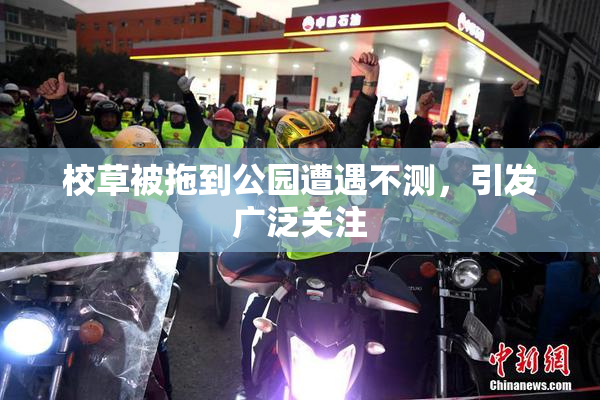 校草被拖到公园遭遇不测，引发广泛关注