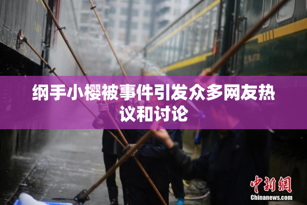 纲手小樱被事件引发众多网友热议和讨论