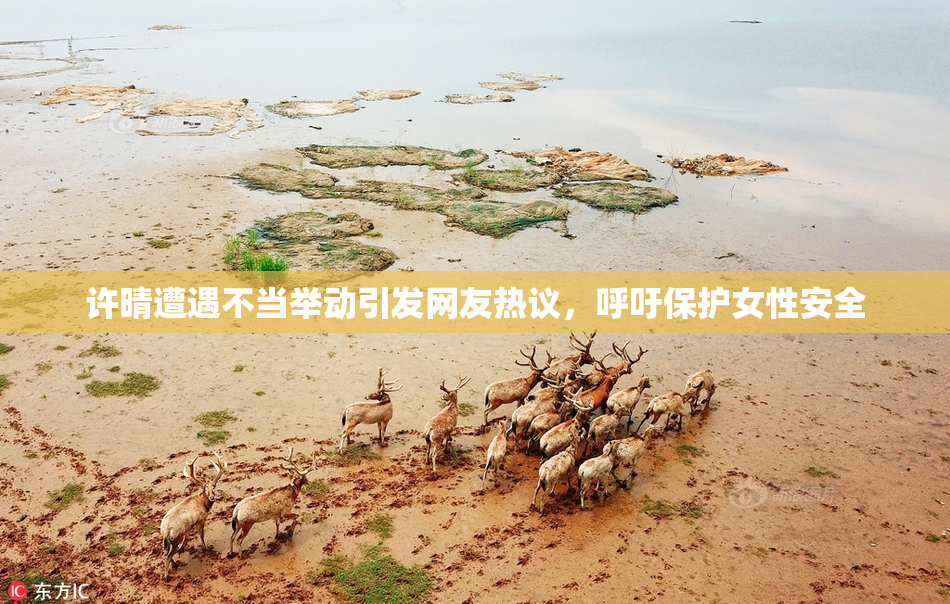 许晴遭遇不当举动引发网友热议，呼吁保护女性安全