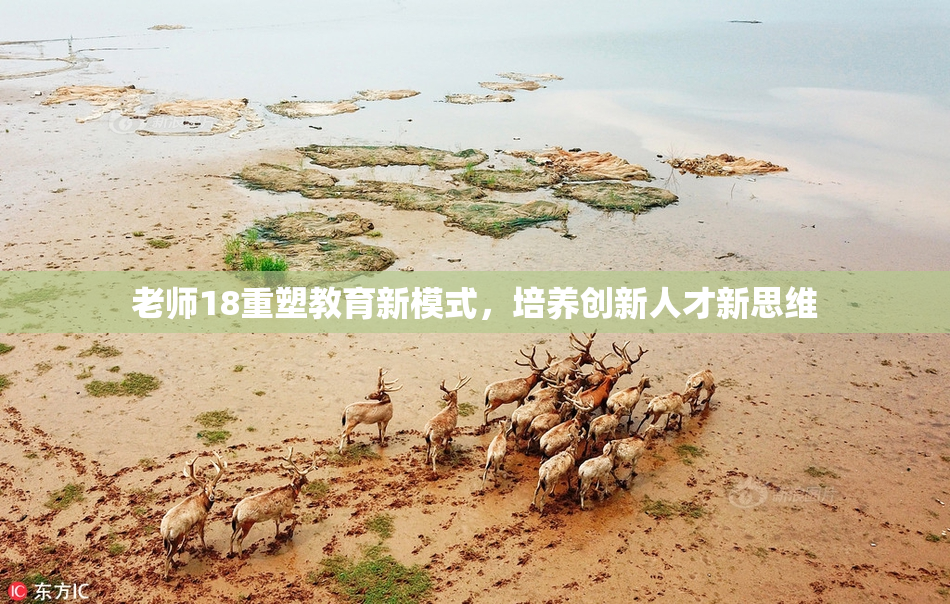 老师18重塑教育新模式，培养创新人才新思维