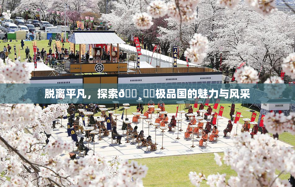 脱离平凡，探索🌸‌✿极品国的魅力与风采