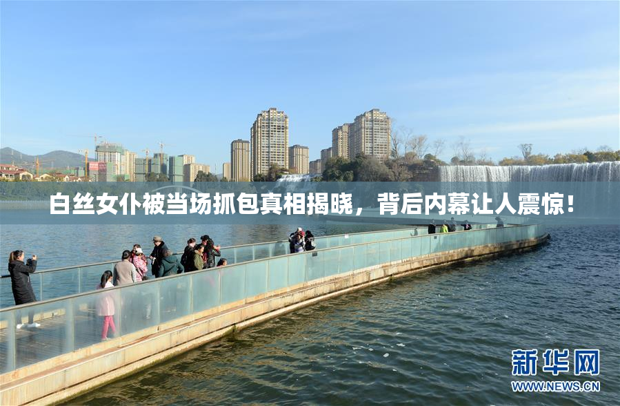 白丝女仆被当场抓包真相揭晓，背后内幕让人震惊！