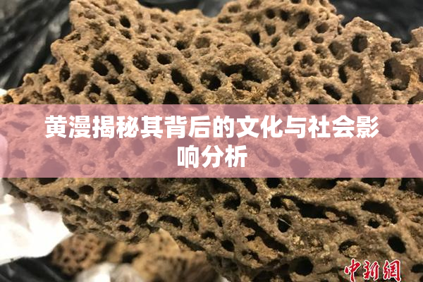 黄漫揭秘其背后的文化与社会影响分析