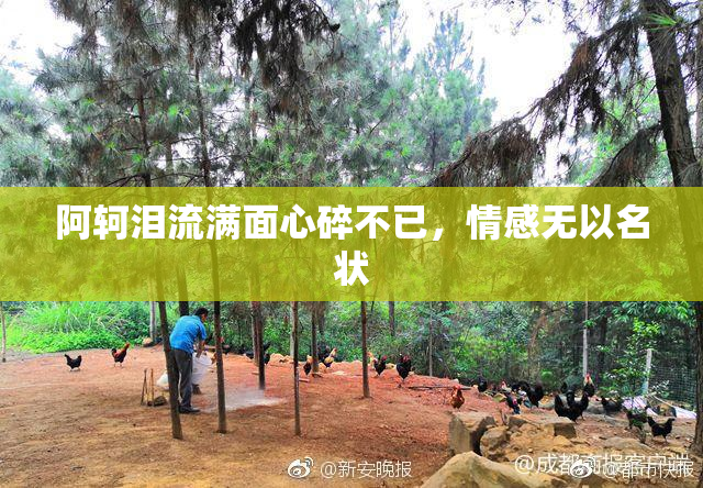 阿轲泪流满面心碎不已，情感无以名状