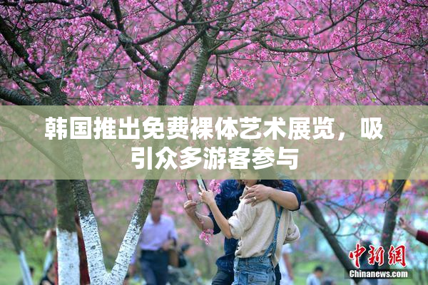 韩国推出免费裸体艺术展览，吸引众多游客参与