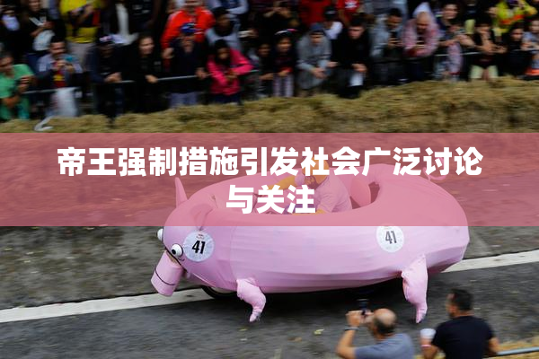 帝王强制措施引发社会广泛讨论与关注