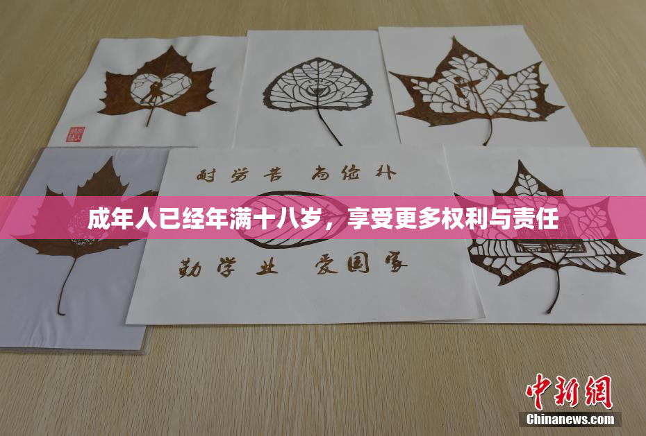 成年人已经年满十八岁，享受更多权利与责任