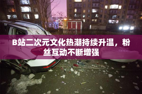 B站二次元文化热潮持续升温，粉丝互动不断增强