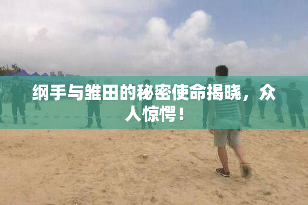纲手与雏田的秘密使命揭晓，众人惊愕！