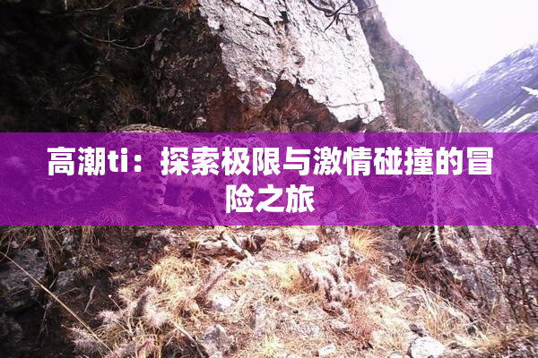 高潮ti：探索极限与激情碰撞的冒险之旅