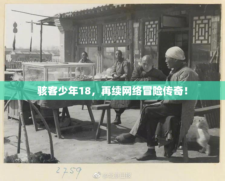骇客少年18，再续网络冒险传奇！