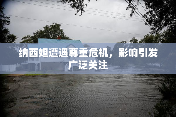 纳西妲遭遇尊重危机，影响引发广泛关注