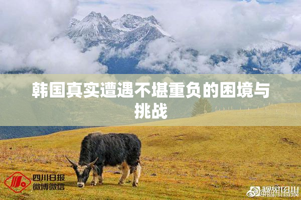 韩国真实遭遇不堪重负的困境与挑战