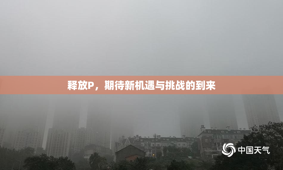 释放P，期待新机遇与挑战的到来