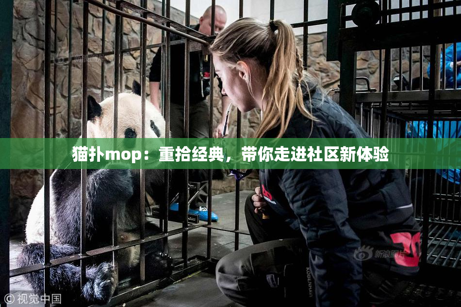 猫扑mop：重拾经典，带你走进社区新体验